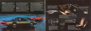 1983 Pontiac Full Line-18-19.jpg